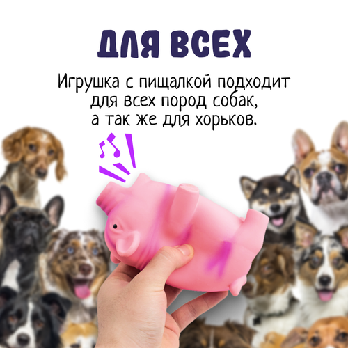 Игрушка для собак ZooWell Поросенок с пищалкой, игрушка для животных, розовая