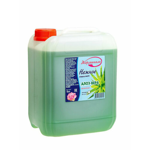 Жидкое мыло для рук и тела Алоэ 5 литров JERMiNAL -COSMETICS- 1740₽