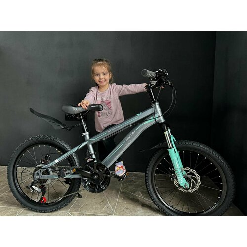 Велосипед Time Try TT021 20 Стальная рама Горный Детский Подростковый Для активного отдыха Унисекс серый 2250000₽