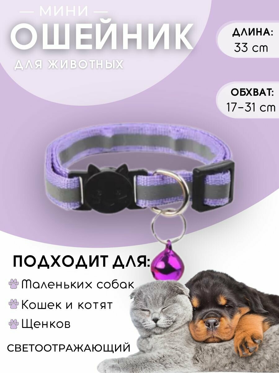 фото Ошейник с колокольчиком светоотражающий для собак и кошек
