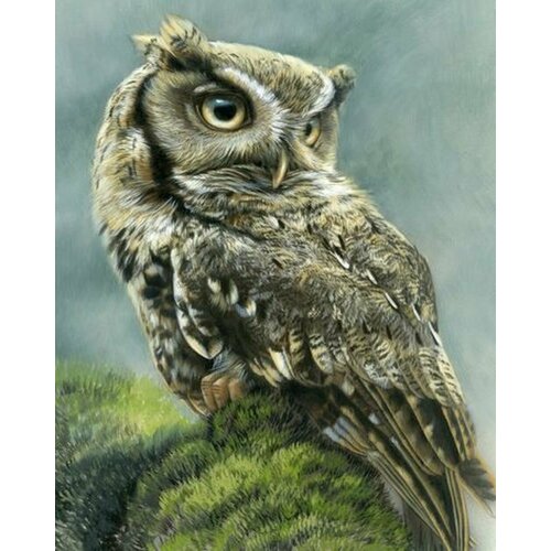 Вышивка крестиком 46х56