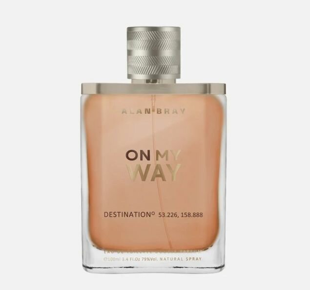 Парфюмерная вода Alan Bray AlanBray OnMyWay DESTINATION edt100ml (версия 212Heroes)