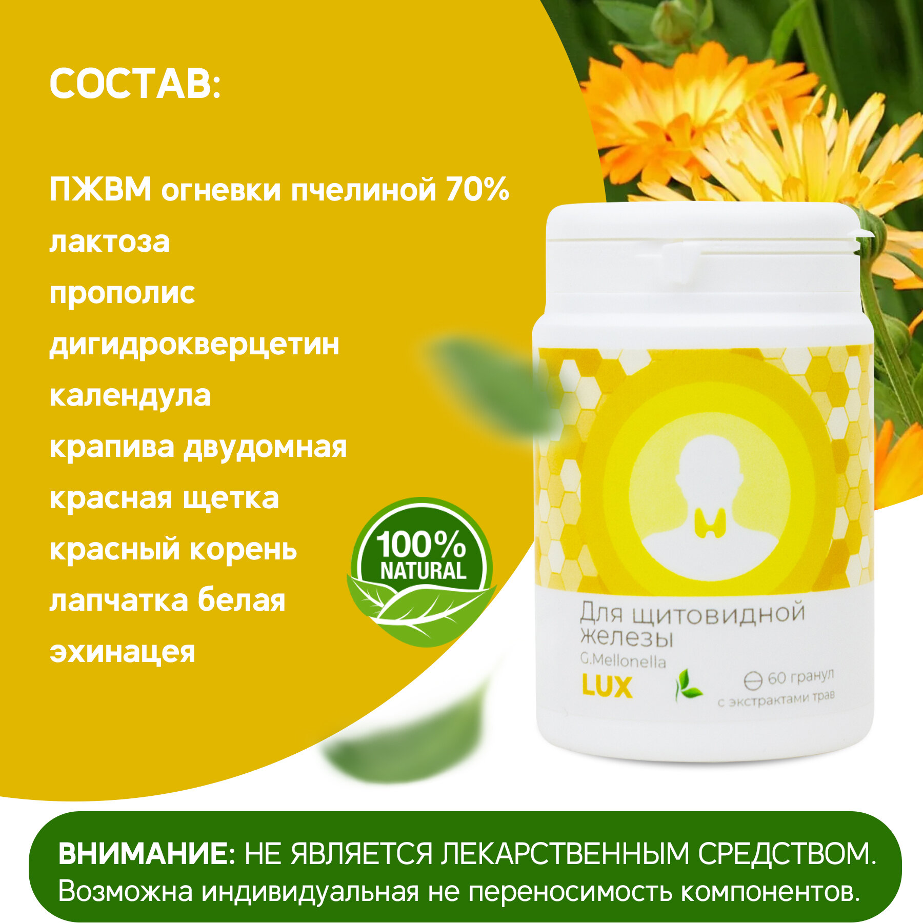 Изображение Двухмесячный комплекс "Огнёвка Люкс" - комплекс для щитовидной железы, витамины для эндокринной системы, дефицит йода, 60 гранул.