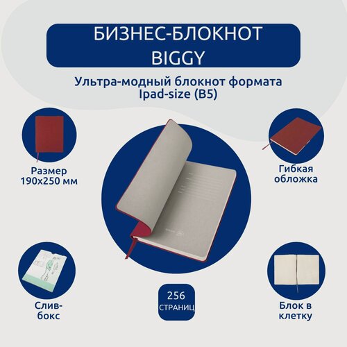 Изображение товара Бизнес-блокнот "Biggy", B5 формат, бордовый, серый форзац, мягкая обложка, в клетку
