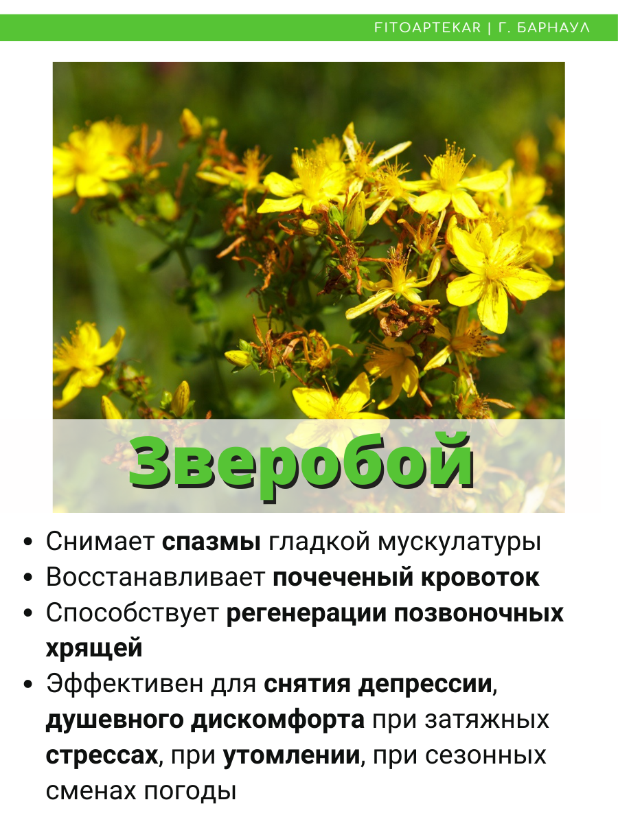 Изображение Масло Зверобоя "Фито-Аптекарь" для внутреннего и наружного применения, 100мл