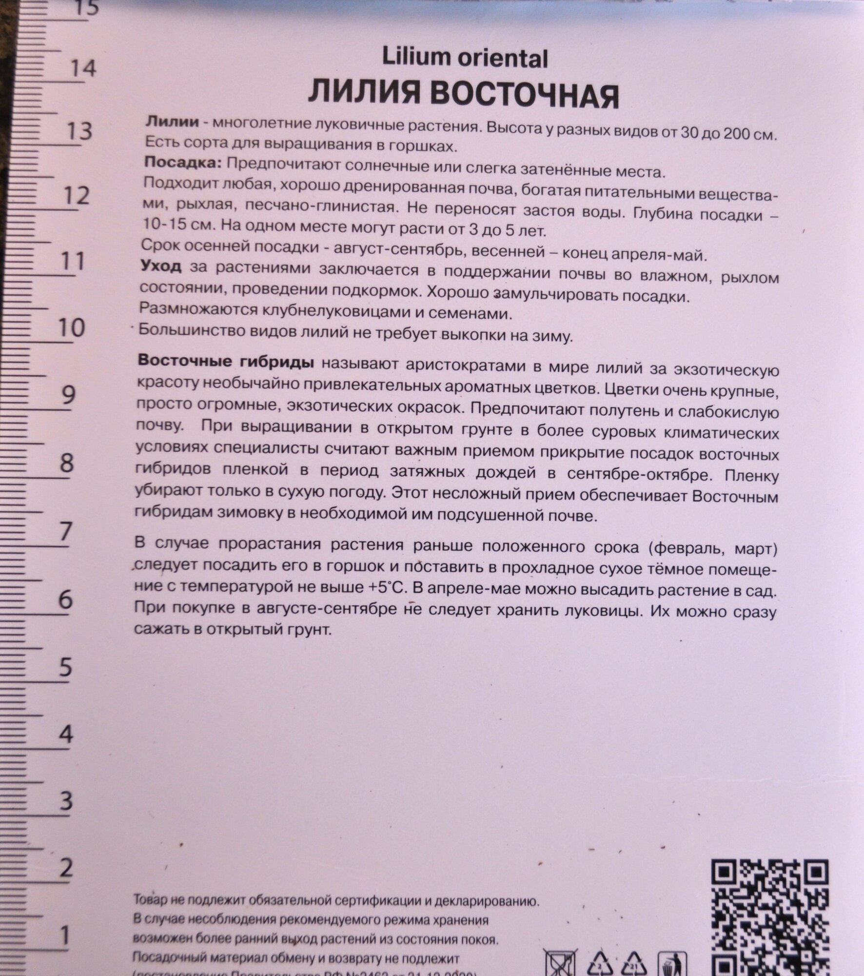 Клубни Лилия восточная махровая Фабьен NEW 2025, диаметр цветка до 21 см, высота 120 см, от Поиск, 1 шт.