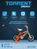 Детский велосипед TORRENT Energy (1 скорость, добавочные колеса, ...