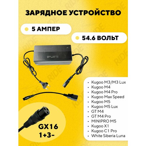 Зарядное устройство (быстрая зарядка) для электросамоката Kugoo M5, M4 Pro, X1, Max Speed, WS Luna (48V 5A)