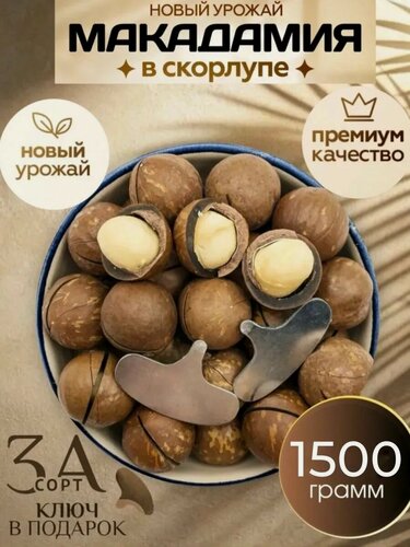 Изображение товара Макадамия орех в скорлупе + ключ, 1,5 кг