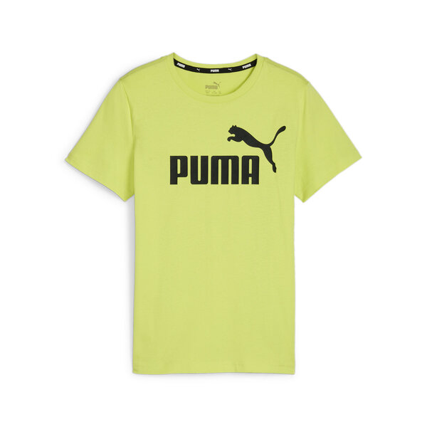 Футболка PUMA Essentials Logo Youth Tee