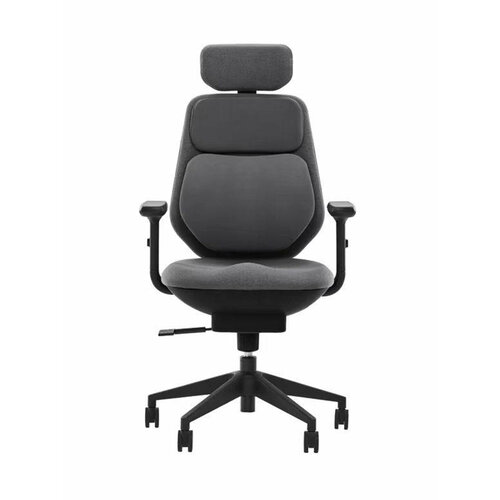 Умное офисное кресло Xiaomi Backrobo Intelligent Pneumatic Waist Support Office Chair Classic Black (C1X)