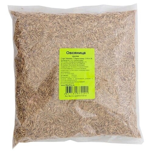 Овсяница 