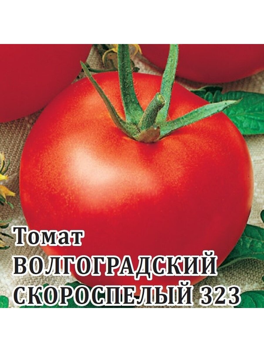 Гавриш Семена для фермера Томат Волгоградский скороспелый 323 25 грамм