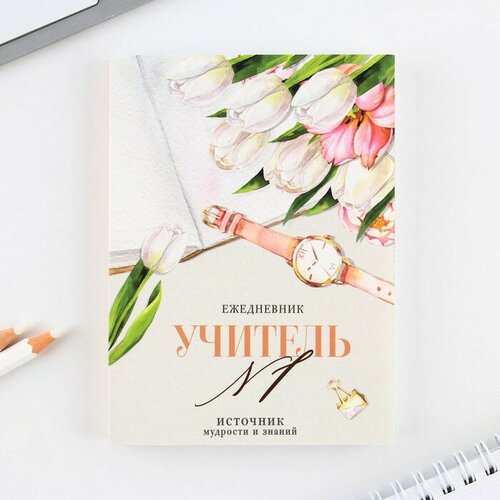 Ежедневник «Учитель №1», формат А6, 120 листов, мягкая обложка .