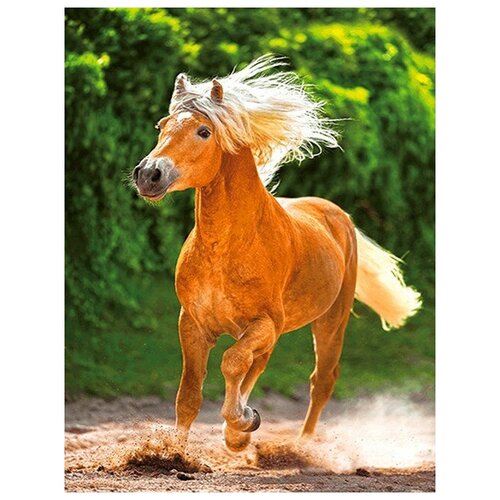 Алмазная вышивка New World«Стремительный молодой жеребенок»