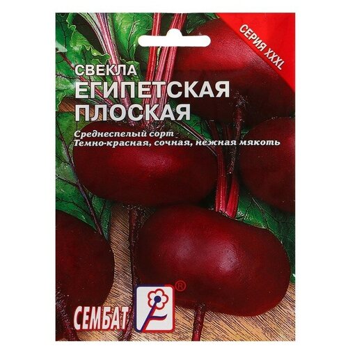 семена хххl свекла египетская плоская 10 г Семена ХХХL Свекла Египетская плоская, 10 г