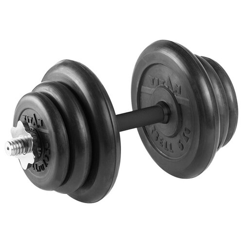 диск titan barbell d31 20 кг Гантель разборная 20 кг TITAN Barbell - d31, Комплектация №1 с обрезиненной ручкой