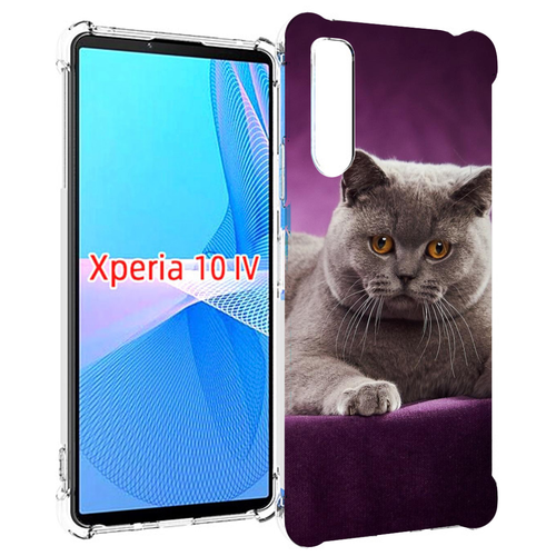 Чехол MyPads кошка британская короткая для Sony Xperia 10 IV (10-4) задняя-панель-накладка-бампер