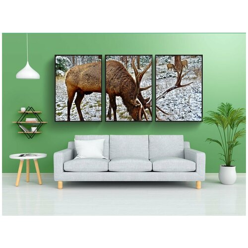 фото Набор модулных постеров для интерьера "лось, олень, рога" 60x90 см. в тубусе, без рамки lotsprints