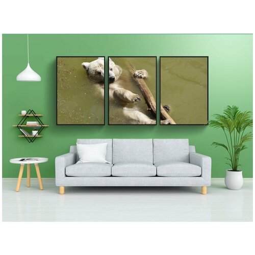 фото Набор модулных постеров для интерьера "нести, милый, животные" 60x90 см. в тубусе, без рамки lotsprints