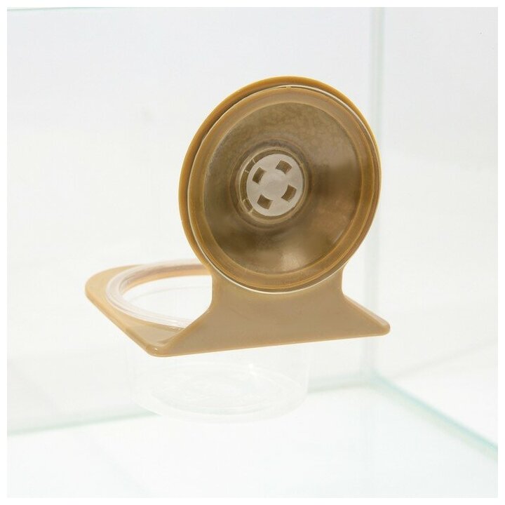 Кормушка NomoyPet для террариума на присоске, 7,5 х 11 см - фотография № 2