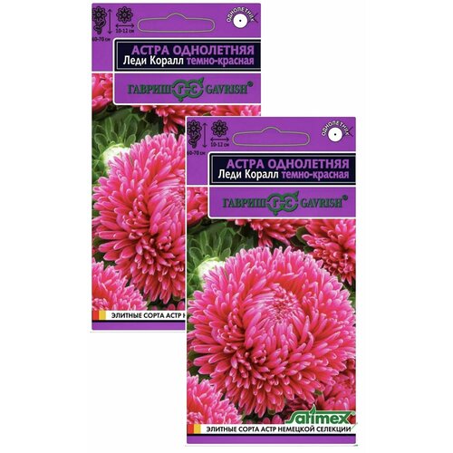 Астра розовидная Леди Корал темно-красная, 2 пакета, семена 0,05 гр, Гавриш, однолетняя
