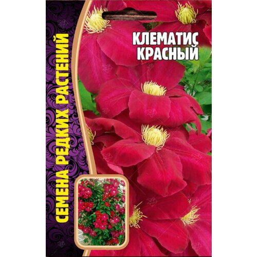 Семена Клематиса Красного (3 шт. семян)