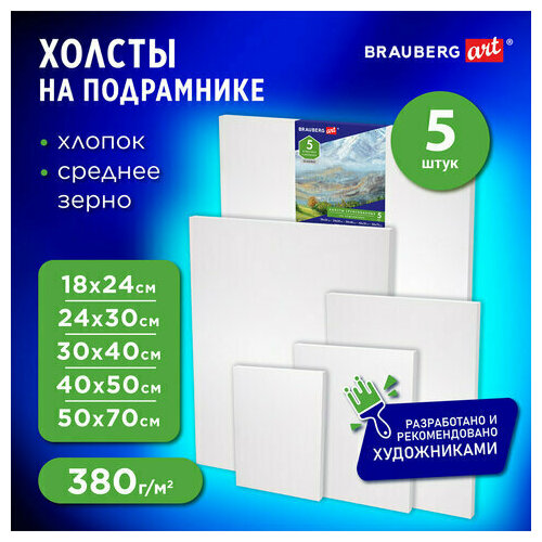 Комплект 10 шт, Холсты на подрамнике BRAUBERG ART CLASSIC, набор 5шт, грунтованные, 100%хлопок, среднее зерно,190650