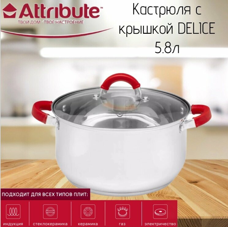 Кастрюля с крышкой DELICE 5.8л