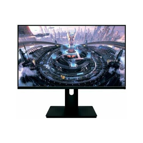 Монитор NPC MF2409-K 2037000₽