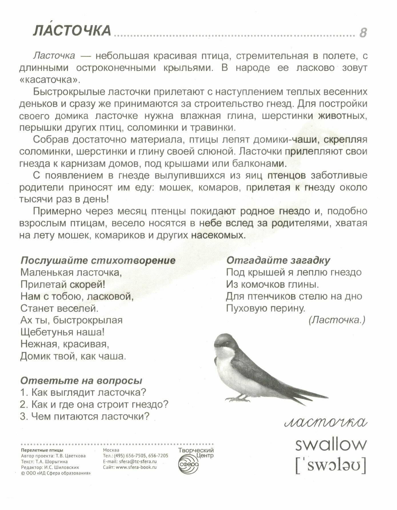 Перелетные птицы. 16 демонстративных карточек с текстом на обороте - фото №3