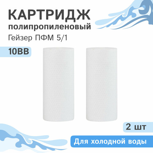 Полипропиленовые картриджи механической очистки Гейзер ПФМ 5/1 - 10BB, 28222 - 2 шт.