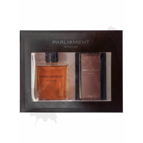 PARLIAMENT INTENSE Набор (туалетная вода 100 мл + шампунь 3в1 250 мл)