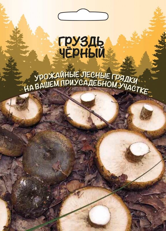 Семена Мицелий Грибы Груздь Черный (сспк)