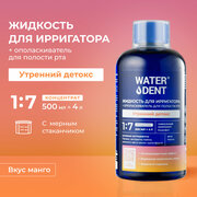 Жидкость для ирригатора+ополаскиватель ежедневный уход WATERDENT / Утренний детокс / Вкус манго / 500 мл