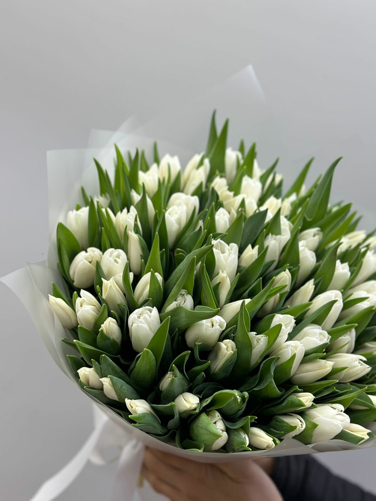 Премиум букет тюльпанов Flowerella Premium (белые) 101 штука