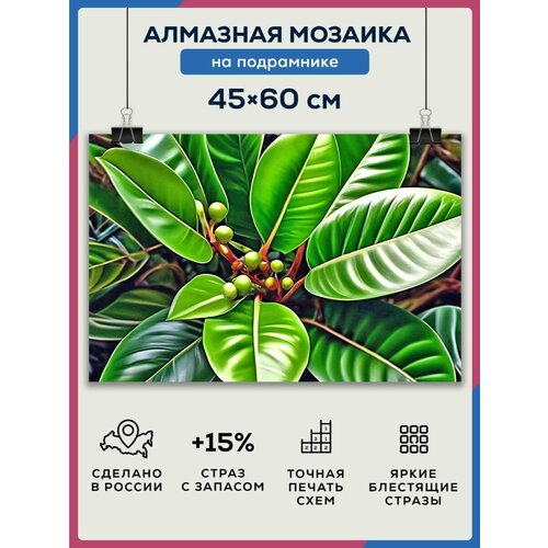 Алмазная мозаика 45x60 Фикус на подрамнике