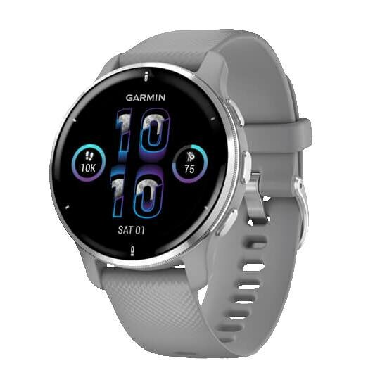 Умные часы Garmin Venu 2 Plus, серый