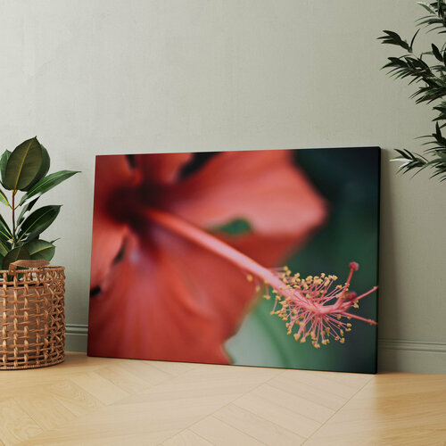 Картина на холсте (Красный цветок, цветущее растение) 22 32 см/для интерьера/в комнату/на стену/в подарок