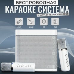 Караоке система профессиональная, белая, 2 микрофона