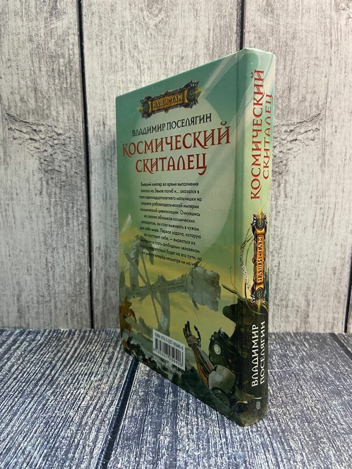 Космический скиталец (Поселягин Владимир Геннадьевич) - фото №5