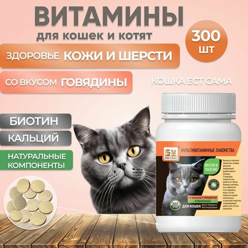 Витаминное лакомство для кошек со вкусом Говядины 300 шт