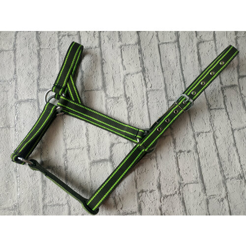 Недоуздок для лошади из брезента 25 1284₽