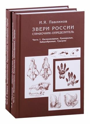 Звери России Справочник-определитель комплект из 2 книг - фото №1