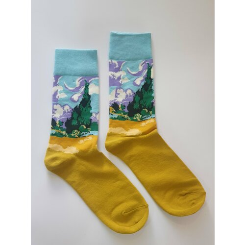 Носки Frida, размер 38-43, желтый брендовая одежда plstar cosmos новинка 2018 стильные модные носки rapper 2pac tupac 3d принт мужские и женские прямые носки