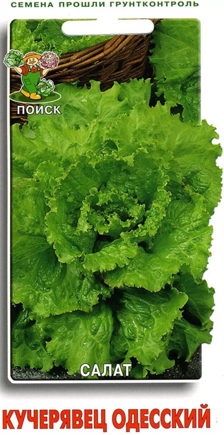 Семена Салат Кучерявец Одесский полукочанный 1г (Поиск)
