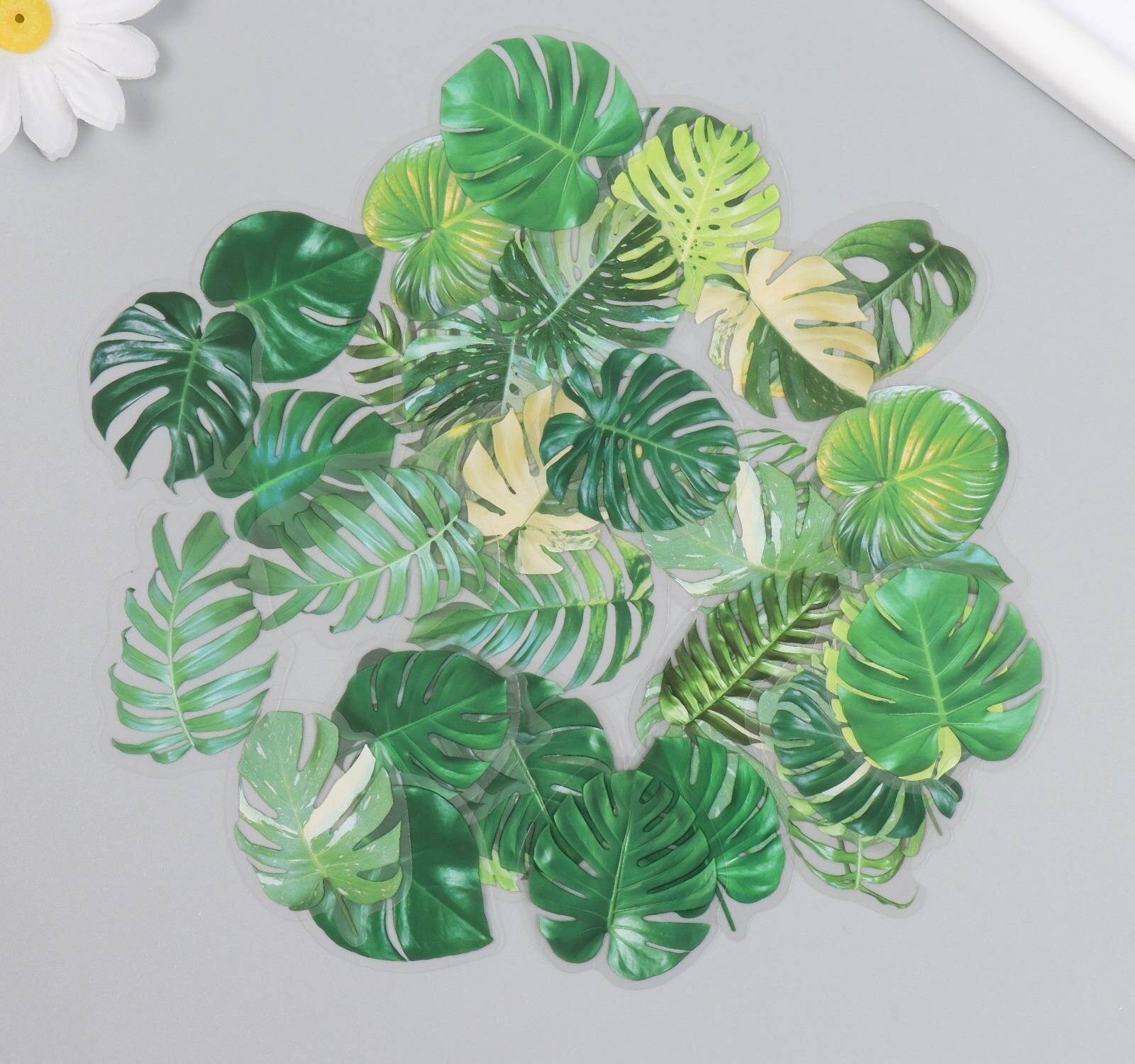 Наклейки для творчества пластик "Пальмовые листья" набор 40 шт 0,3х8х14,8 см