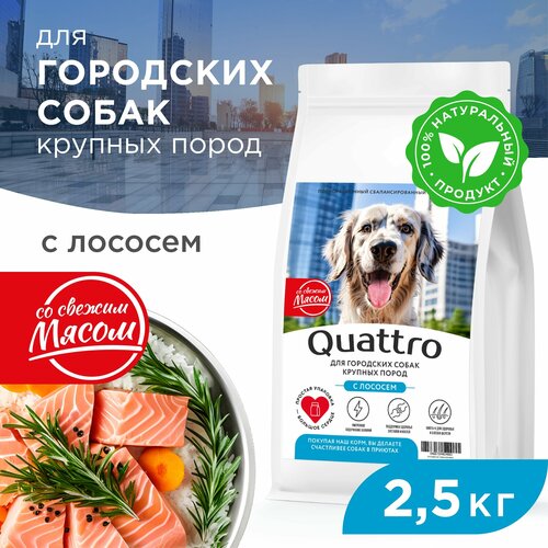 Корм сухой для взрослых собак крупных пород, премиум полнорационный комплекс, для городских собак, с лососем, 2,5 кг, QUATTRO