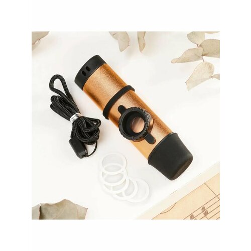 Музыкальный инструмент Казу 1579₽