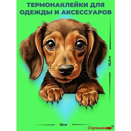фото Термонаклейка / термотрансфер для декора одежды и аксессуаров "малыш таксы" окрашенору